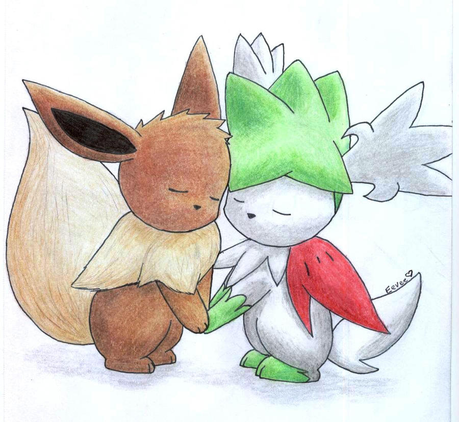 Eevee and Shaymin Sky Form 2