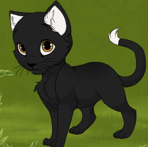 Raven Kit Ravenkit by PhoenixFeather19 on DeviantArt