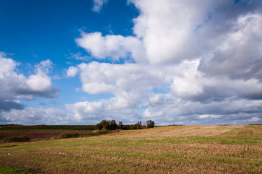 Field, skys