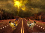 Which One Gets To Cross? by Joseph-Pereira