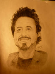 Robert Downey Jr Portrait