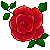 Red Rose by Jasmine-Kao