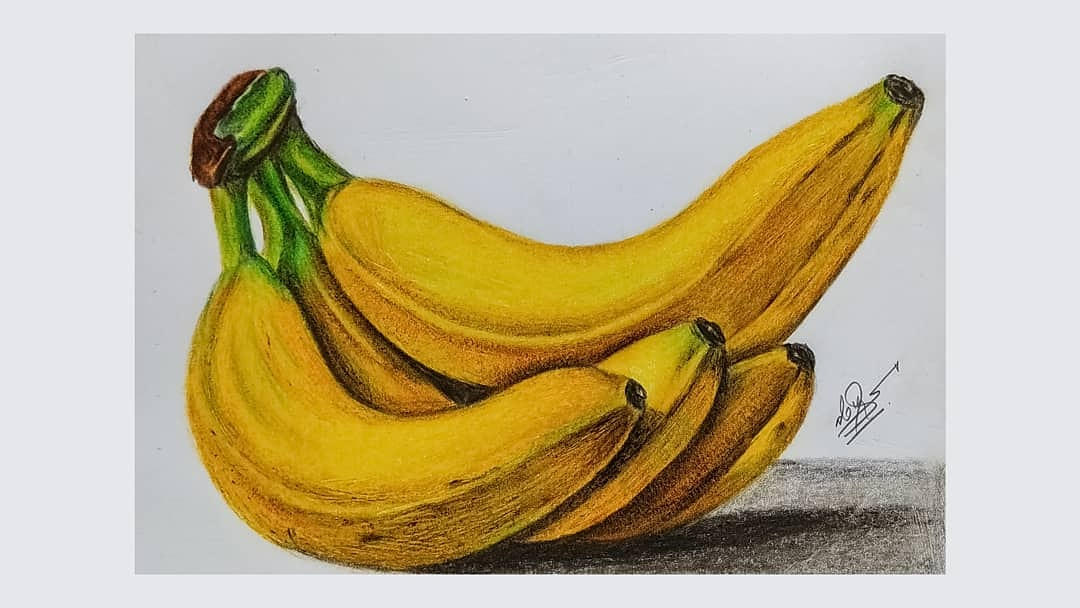 BANANA colour pencil drawing by ArtifiedBtech on DeviantArt