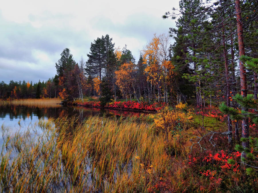 The colors of autumn