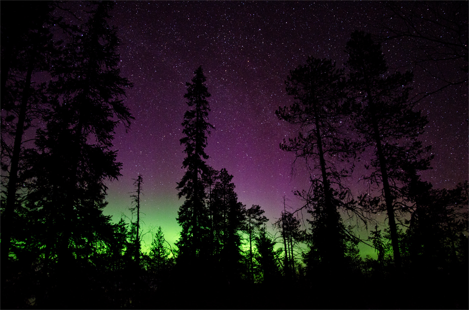 Northern lights