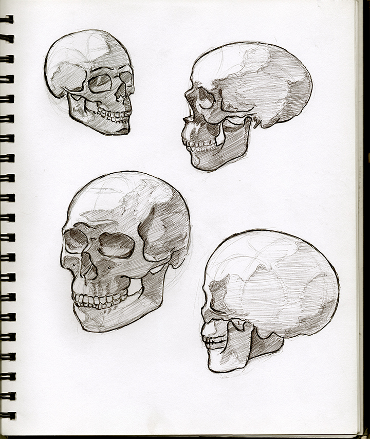 03 Skulls