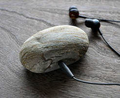 Rock in rock MP3 02
