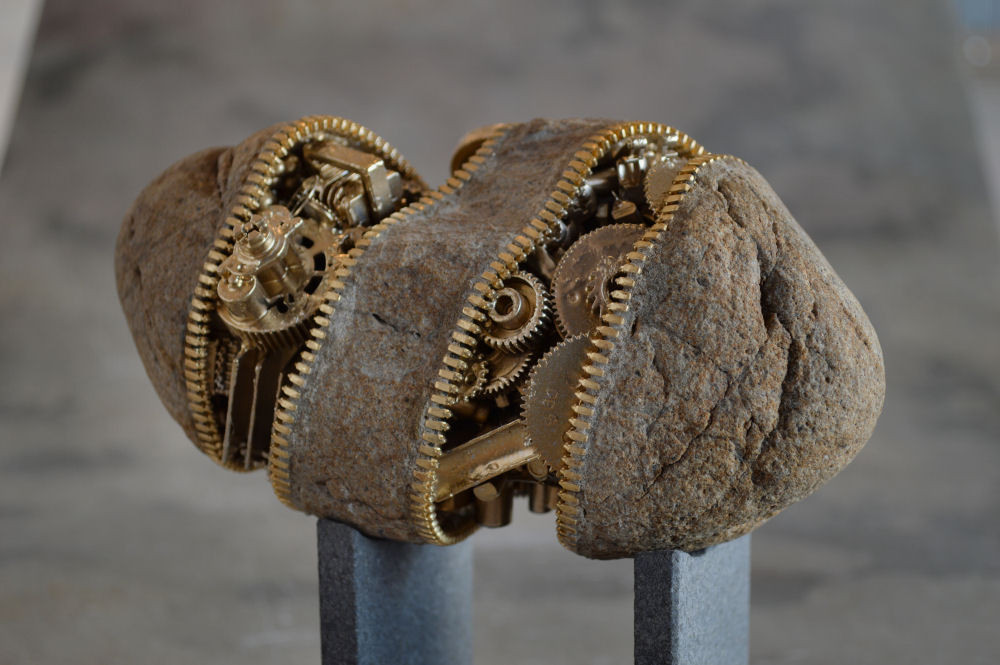 Fossil of the gadget