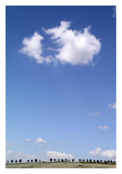 Lonely Cloud