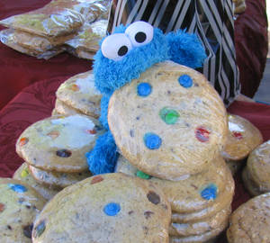 Cookie Monster and Cookies