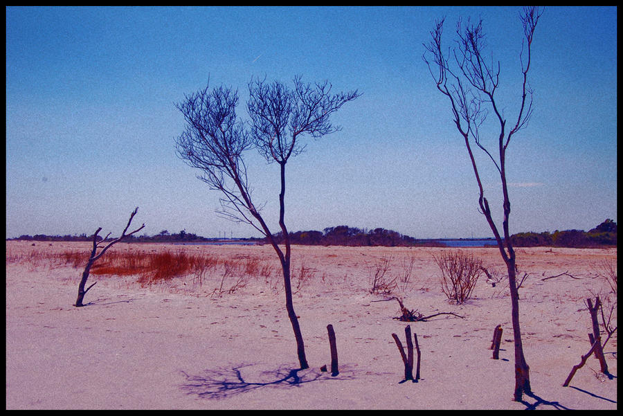 Desolation by constantlyconsider on DeviantArt