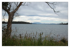 Tasmania: peaceful