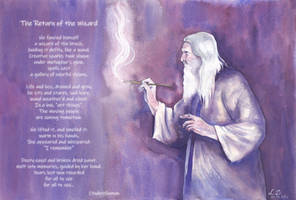 The Return of the Wizard