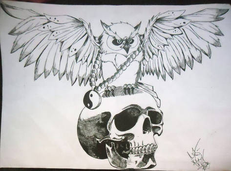 Skull and Owl