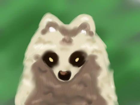 Sketch not so sketchy : Tanuki