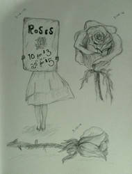 Roses For Sale