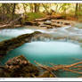 Turquoise Pool