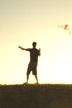 Let the kite fly