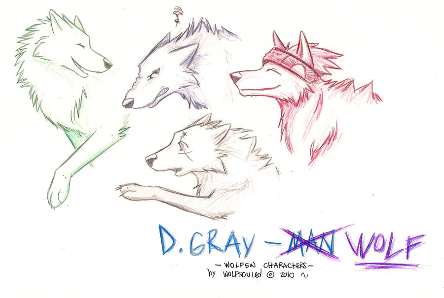 D. Gray-Wolf