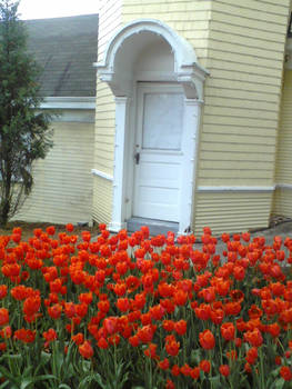 Little Yellow House