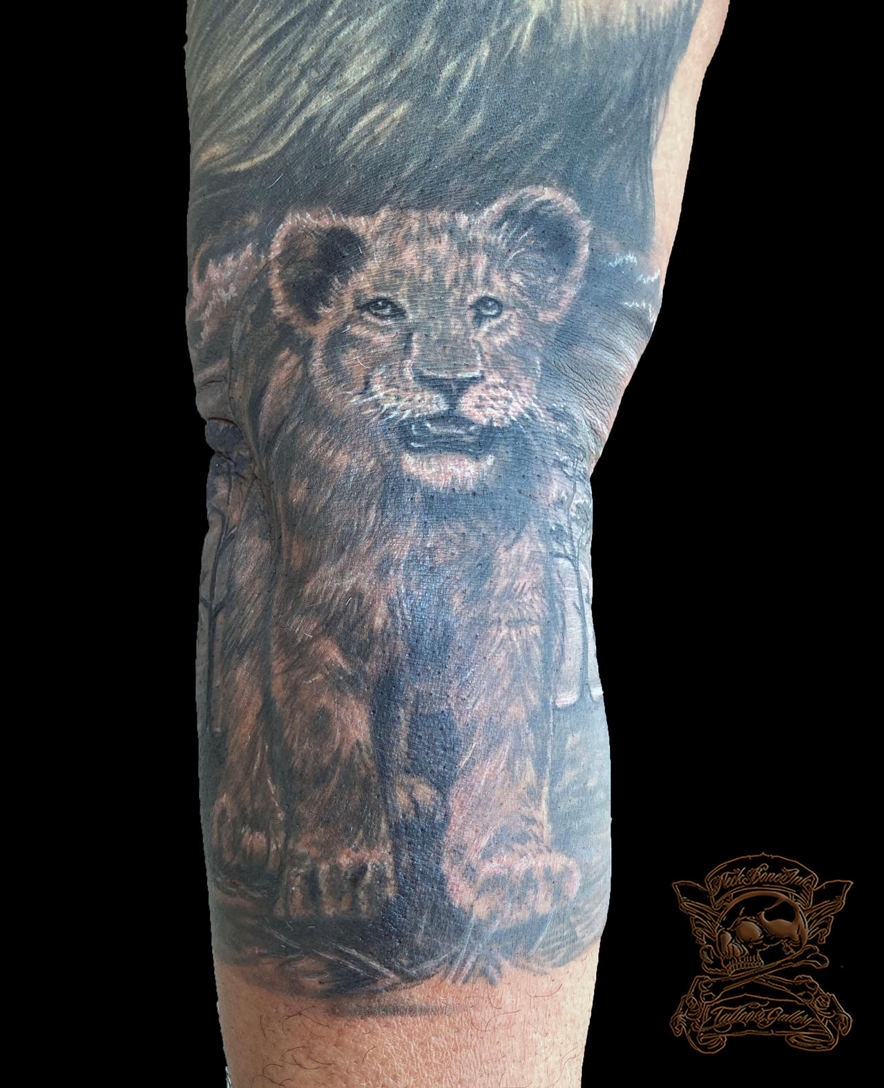 Lion-cub-1 by NeckBoneInkTattoo on DeviantArt