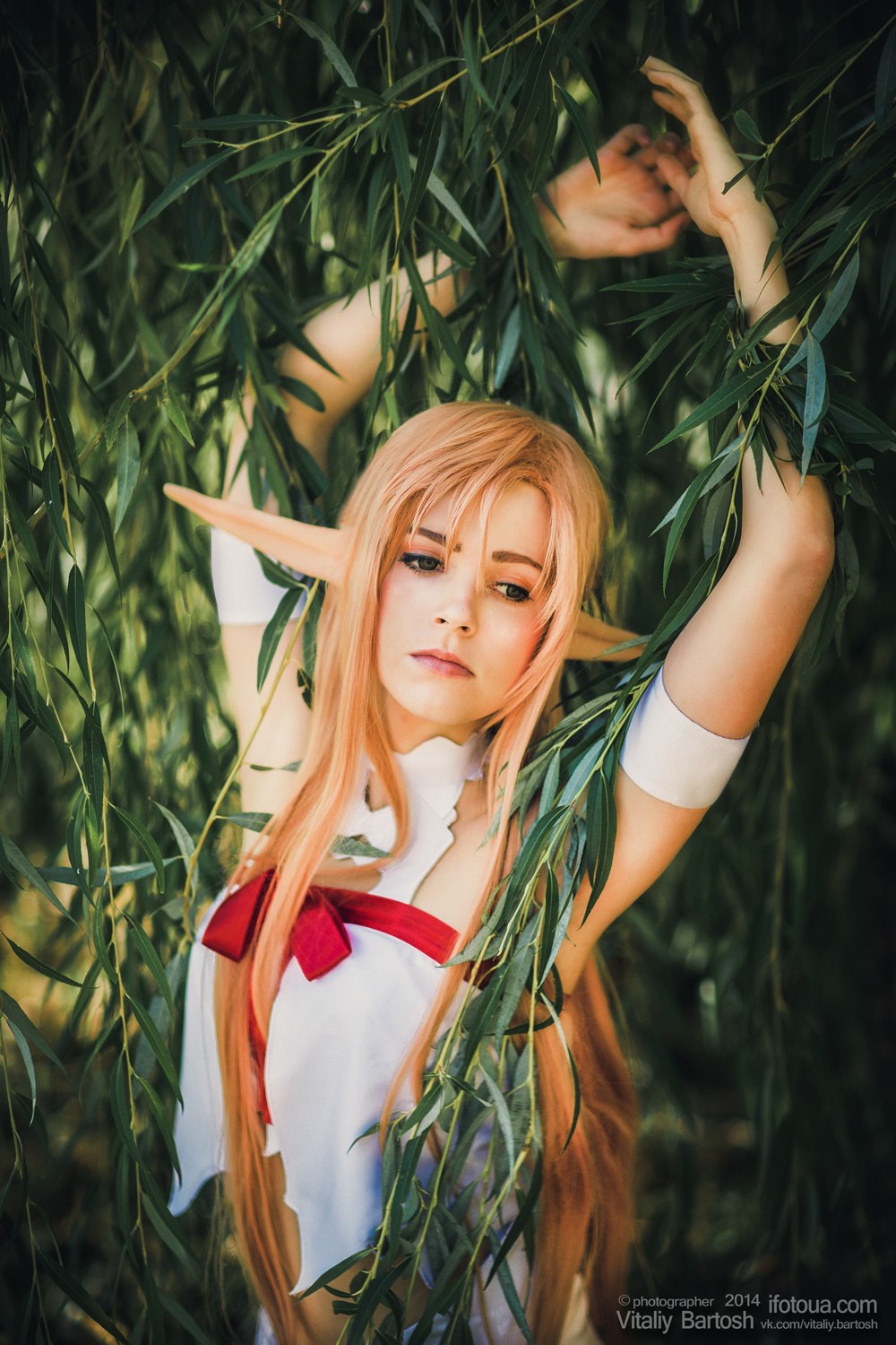 Asuna Yuuki Titania