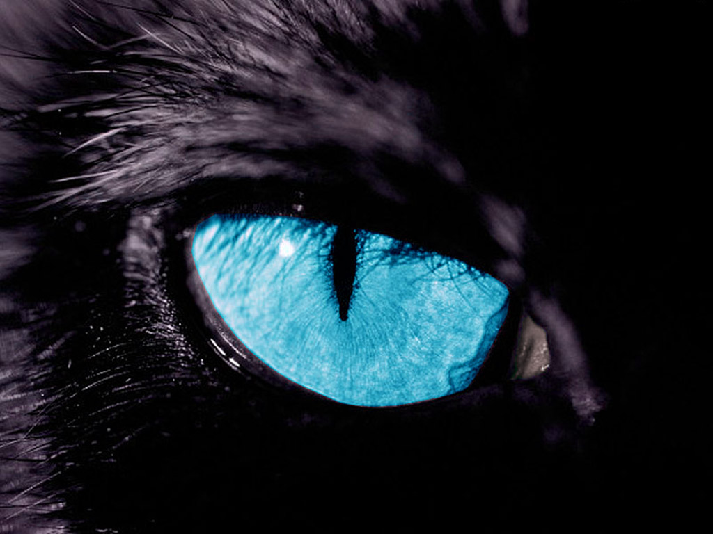 Panther's eye