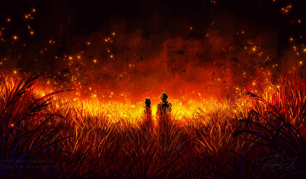 Grave of the Fireflies