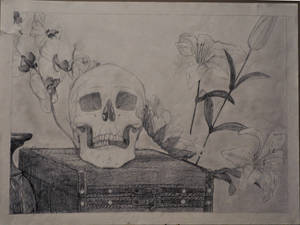 skull still life