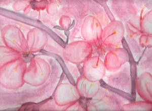 Sakura Flower Painting