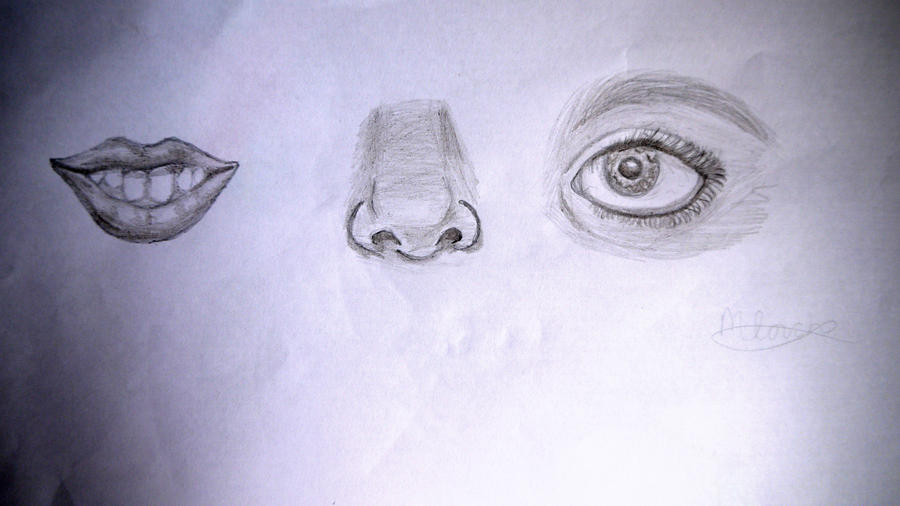 Human features sketches by sketchedhooves on DeviantArt