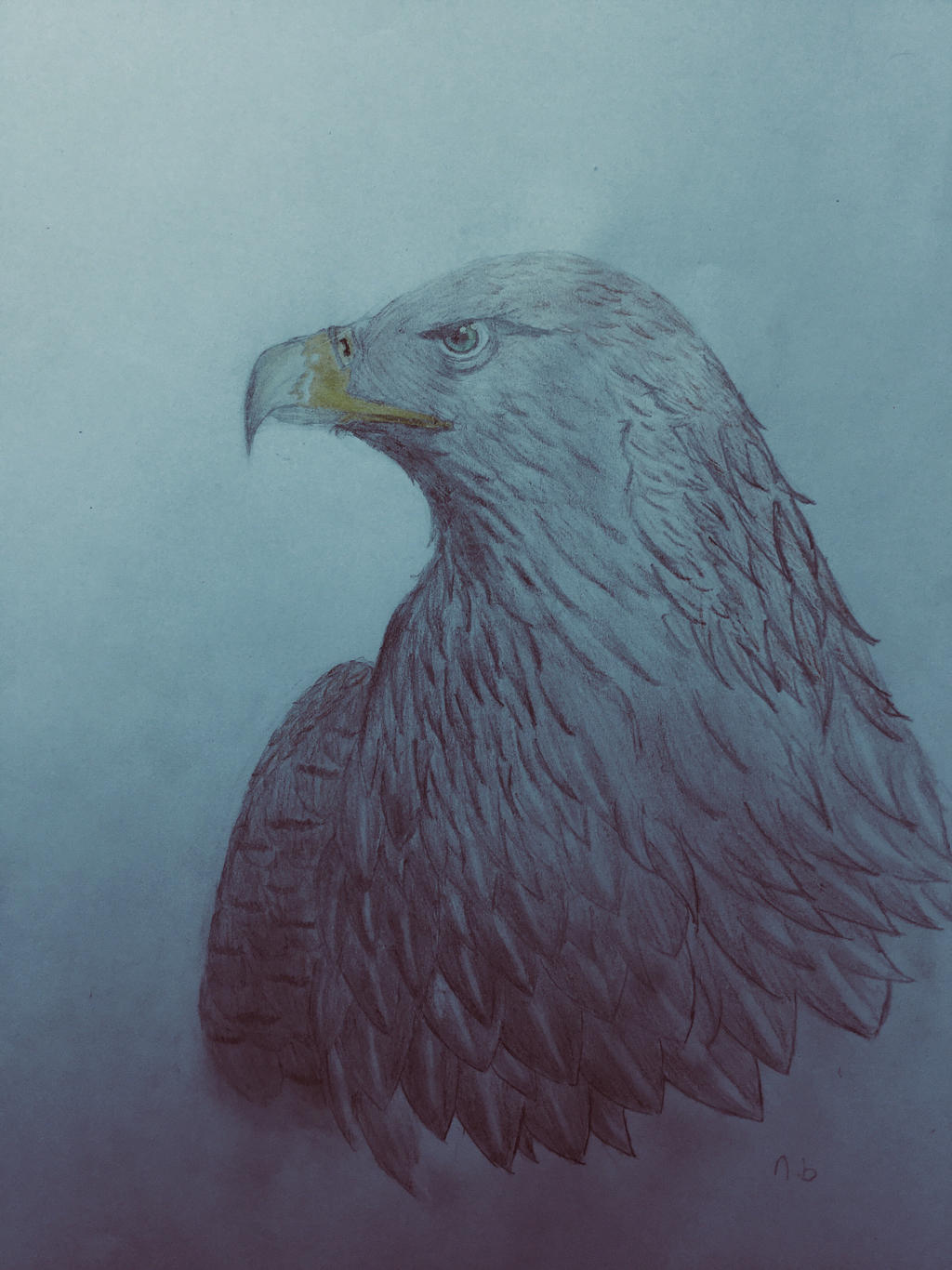 Aigle Royal By Mangeur De Gandalfy On Deviantart Aigle Royal By Mangeur De Gandalfy On Deviantart