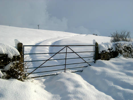 Snow Gate