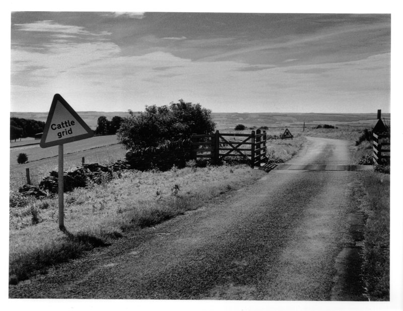 Cattle Grid