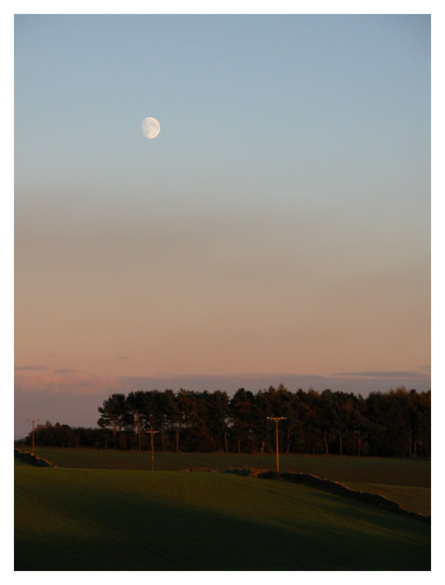 The Fields and The Moon