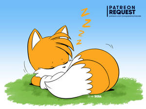 Tails Sleeping