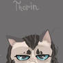 Thorin The Grumpy under the Mountain 