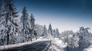 winter HD