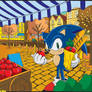 Sonic Shoping:Sonic X Edition