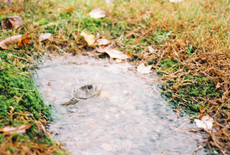 Puddle Drop In Puddle: Drop by dethcap on DeviantArt
