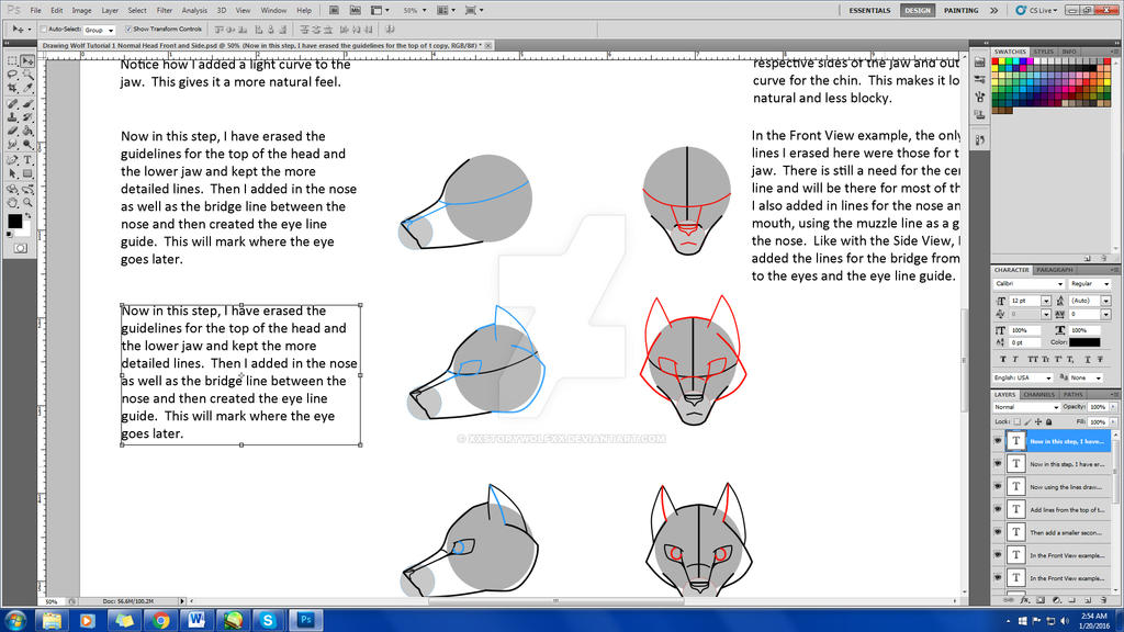 Draw Wip WIP Drawing Wolf Tutorial 1 Normal Head Front and by xXStoryWolfXx on ...