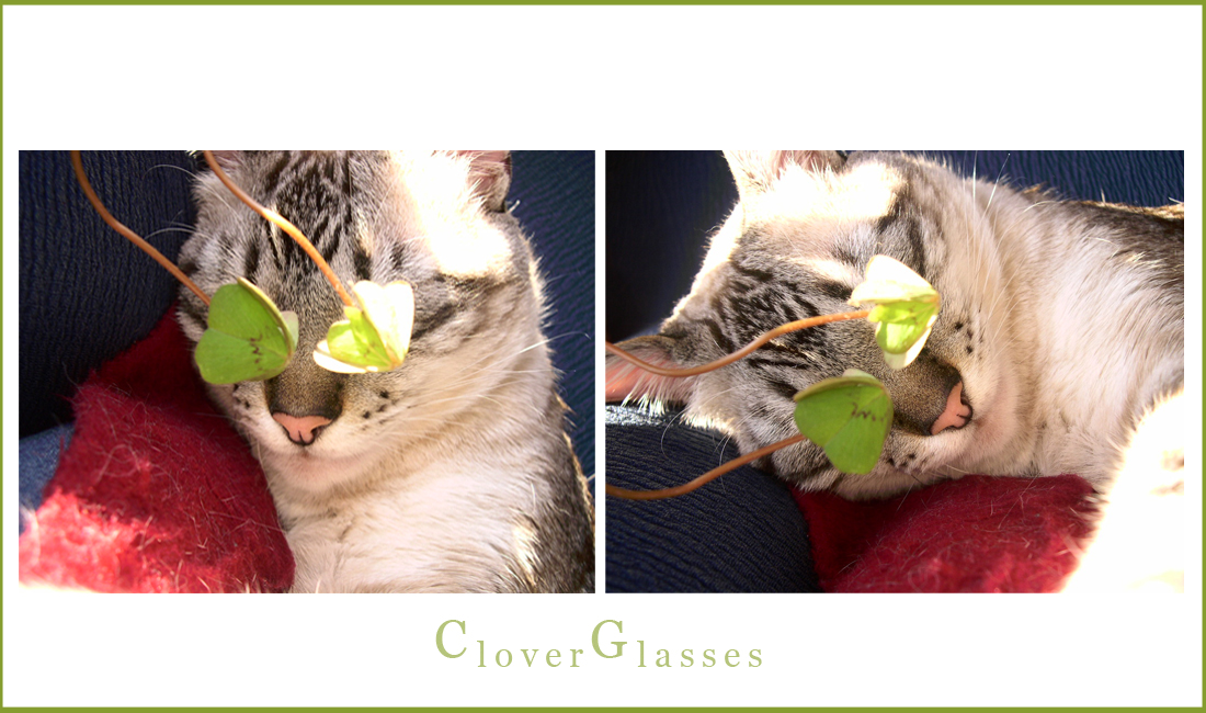 Clover Glasses