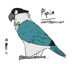 Pipin