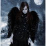Angel Wings
