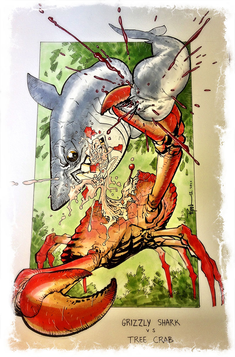 Shark vs Crab