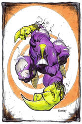 The MAXX