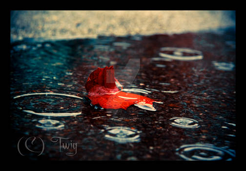 Alone with the Raindrops