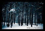 Winter Frosting by TwiggyTeeluck