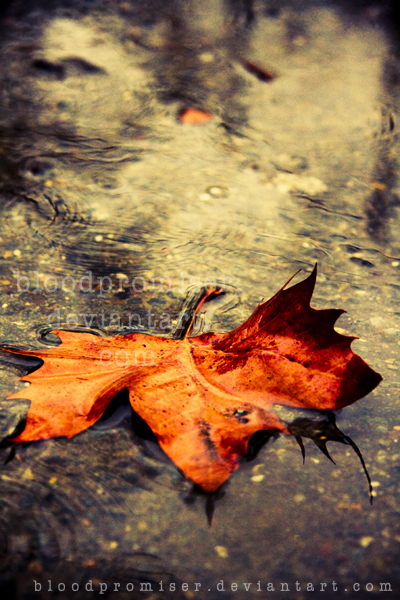 Autumn Showers by TwiggyTeeluck