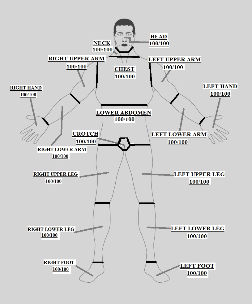 Ares Medical System Vol.1 Advanced Medical Chart